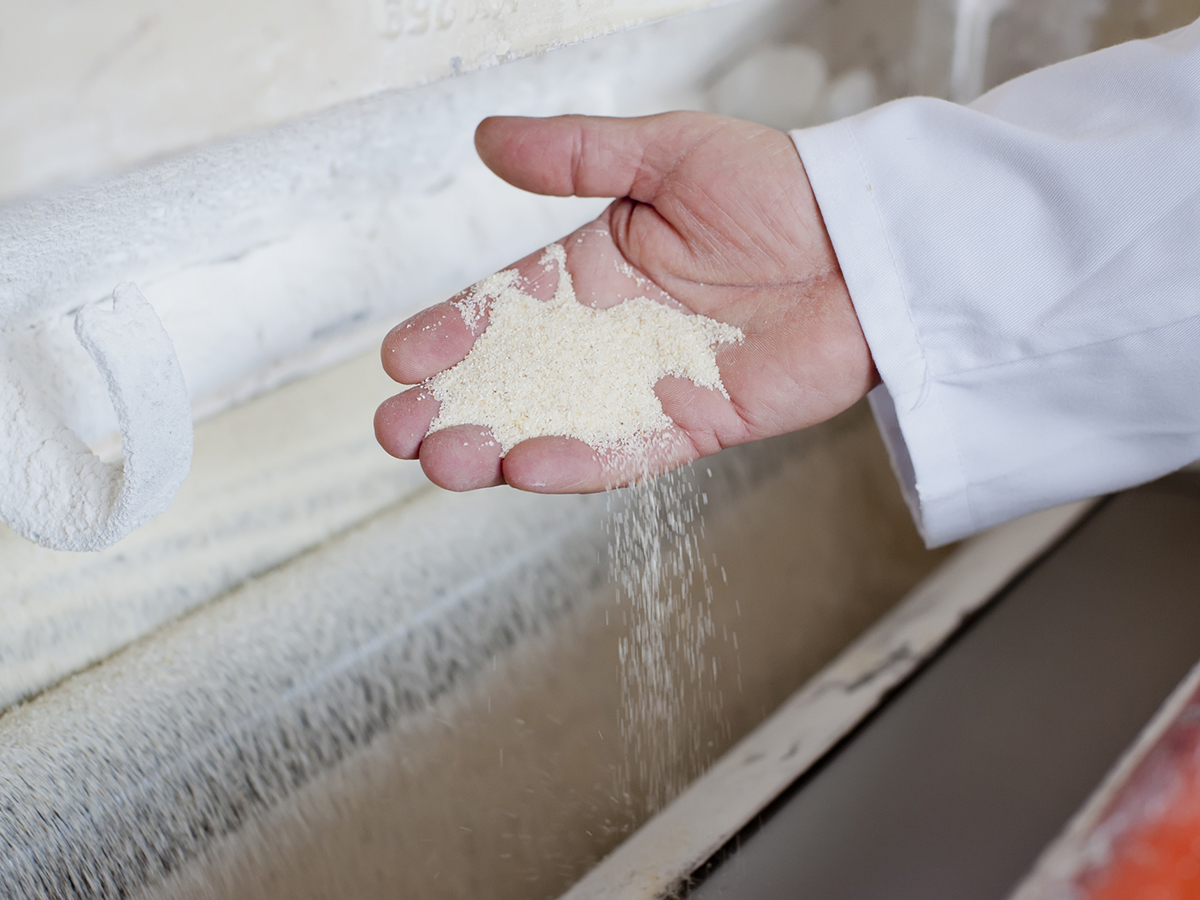 The hand of a man wearing a white coat scoops some flour from a bin in a milling facility.