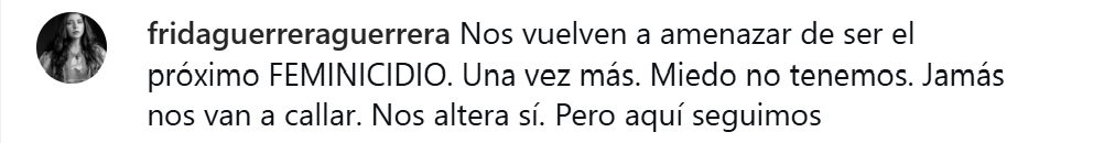 PBI-Canada attentive to the threats against Mexican journalist Frida Guerrera, the need to strengthen the Protection Mechanism
