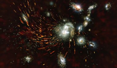 Brighter Side of News