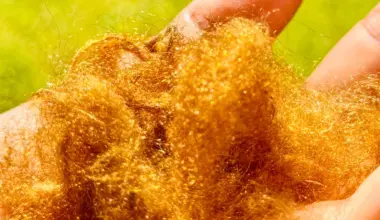 A legendary golden fabric lost for 2,000 years has been brought back