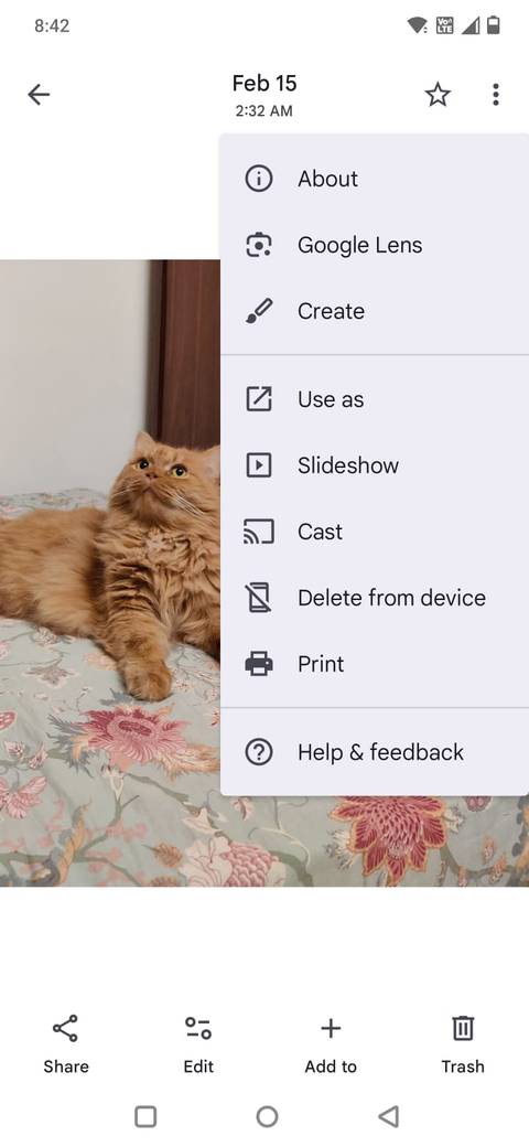 Screenshot showing the Delete from Device option in Google Photos