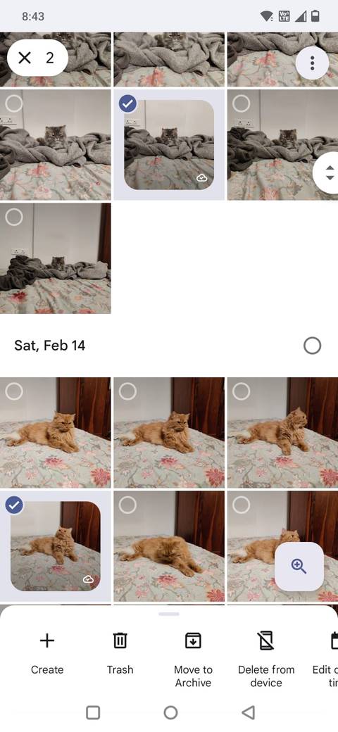 Screenshot showing the Trash and Delete from Device options in Google Photos