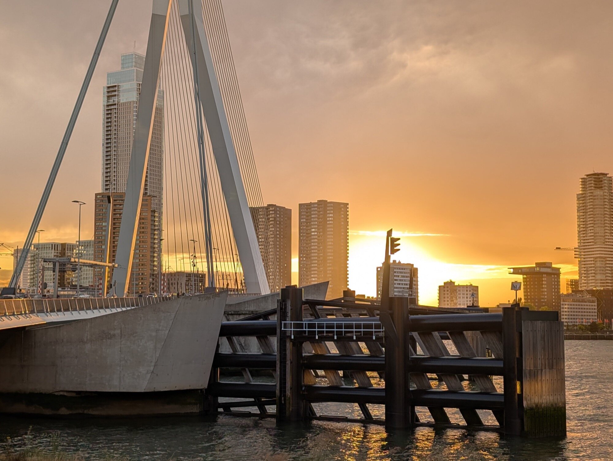 google pixel camera sample favorite 21