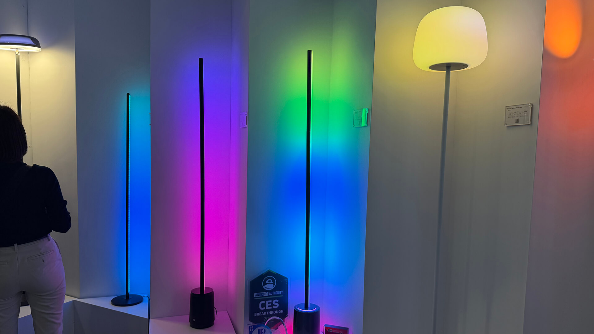 Govee floor lamps