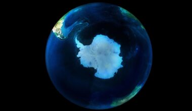 Brighter Side of News