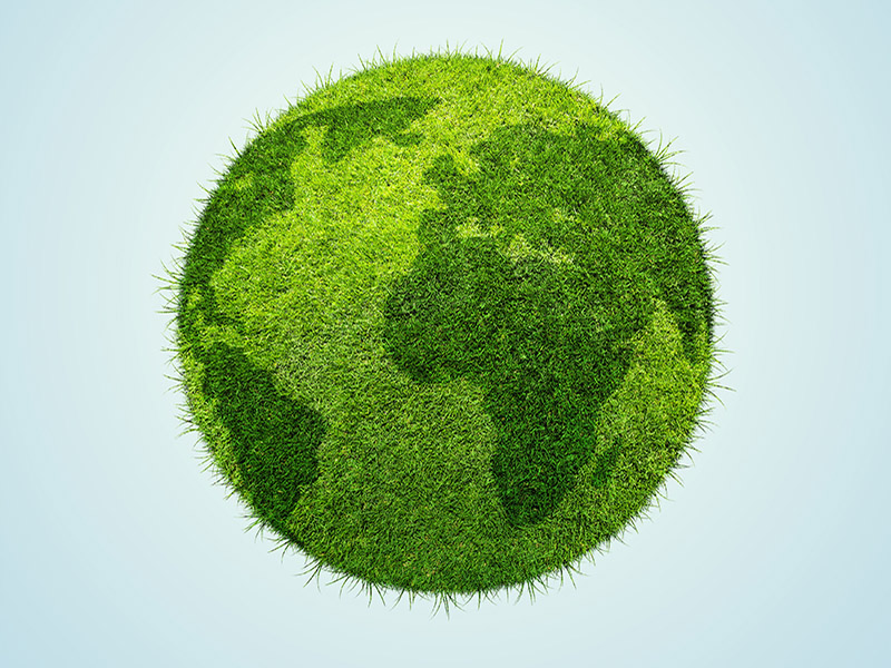 How biodiversity protection impacts investment assets