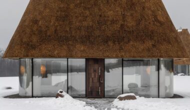 This 50 sq.m. Glass House in Ukraine Has a Reed Roof 3X Its Size