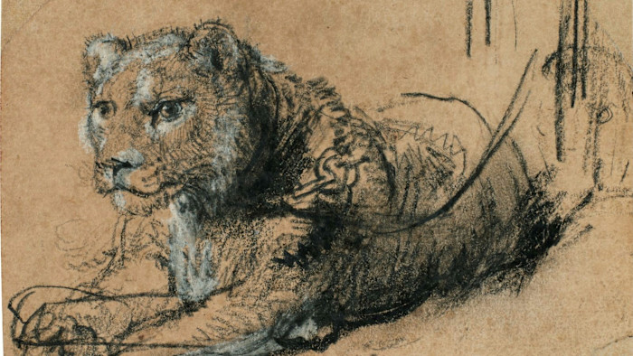 This Rembrandt lion could make art market history — with help from Jeremy Irons