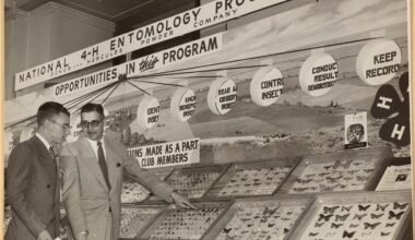 How Canada’s Middle-Class Housing Crisis Is Undermining Its Future