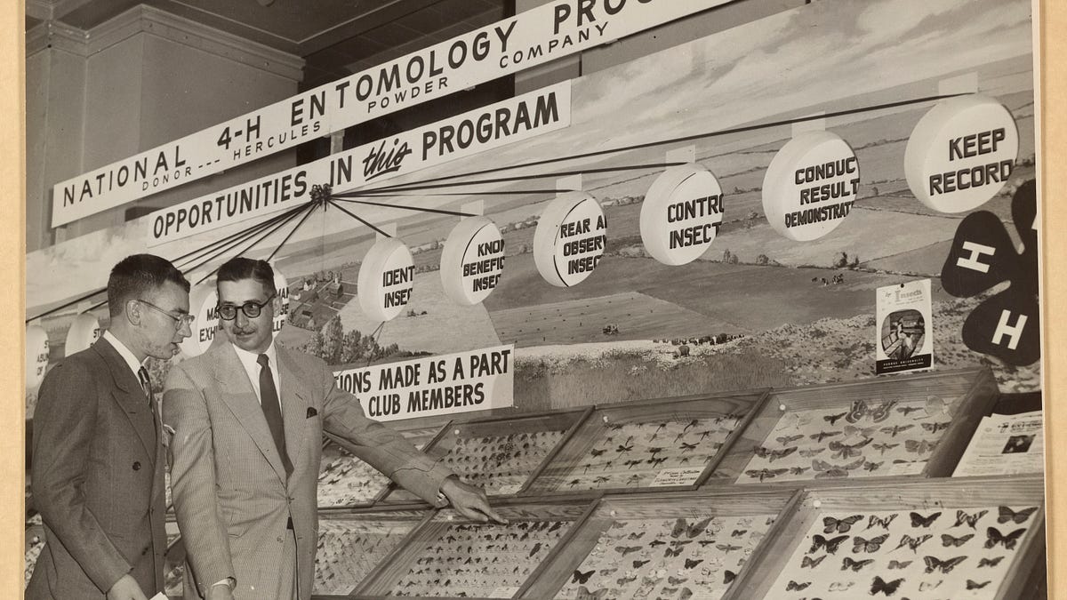 How Canada’s Middle-Class Housing Crisis Is Undermining Its Future