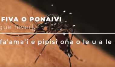 Samoa reports dengue death in 7 month old infant