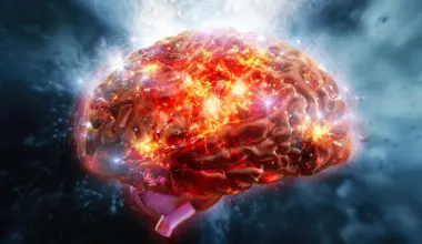 That dry, bitter taste may be waking up your brain