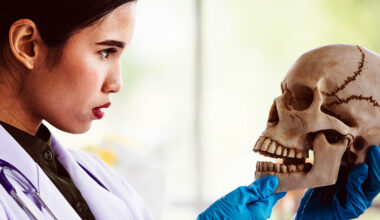 Only humans have true chins, and that may be an accident