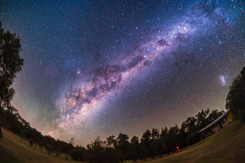 A glowing streak of the Milky Way galaxy is seen in purple against a dark blue night sky full of stars with a circular ring of dark pine trees at the bottom of the image