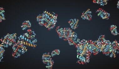 Colorful chain of amino acids or bio molecules called proteins - 3d illustration