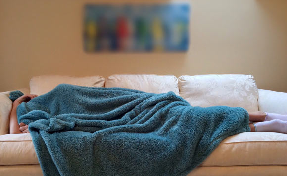 Zhou et al. identify a total of five distinct biological subtypes, each associated with different patterns of behavior and health. Image credit: Wok & Apix.