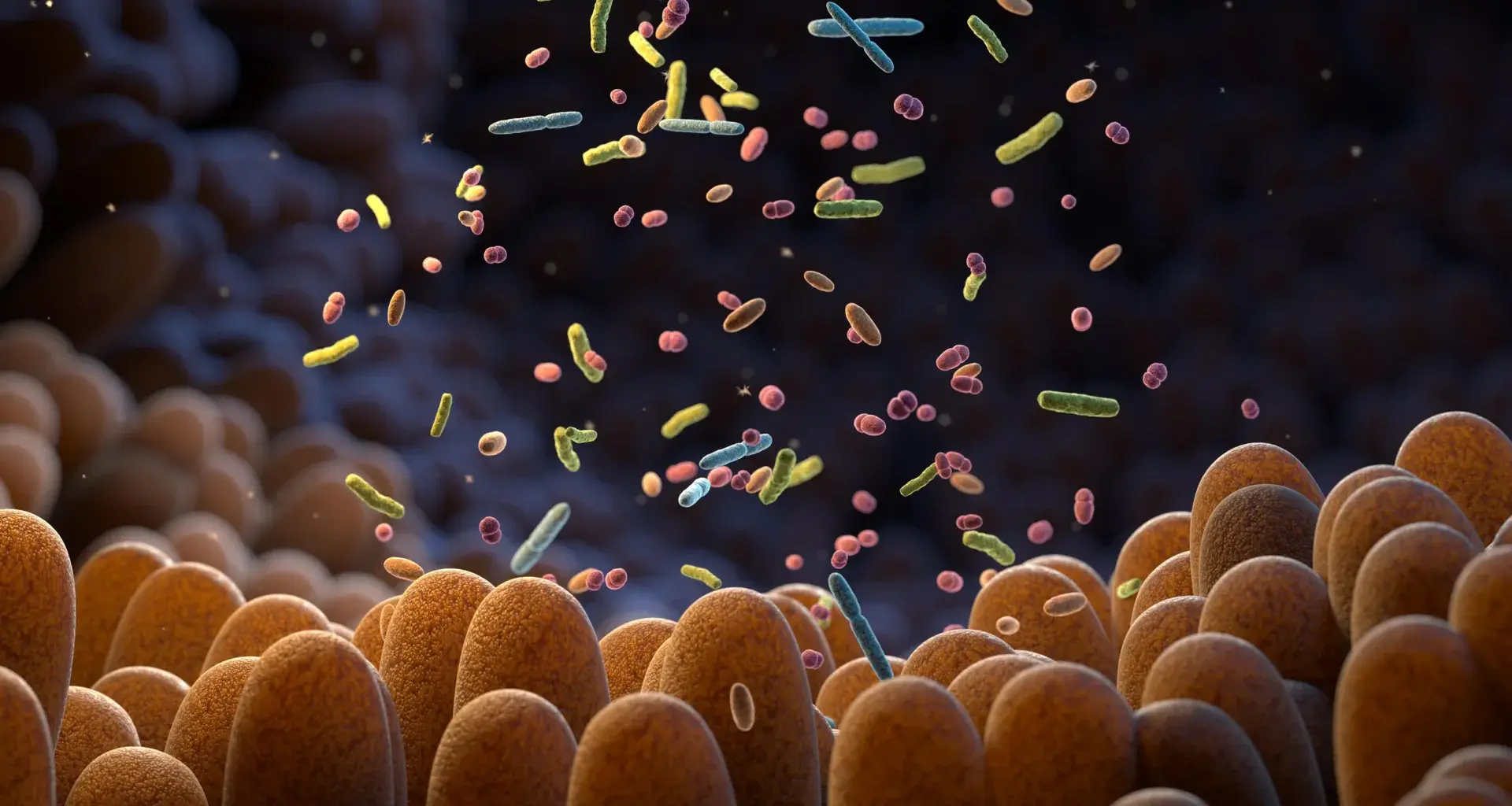 Gut bacteria can sense their environment and it’s key to your health