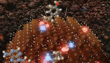 Why this rust-like mineral is one of Earth’s best carbon vaults