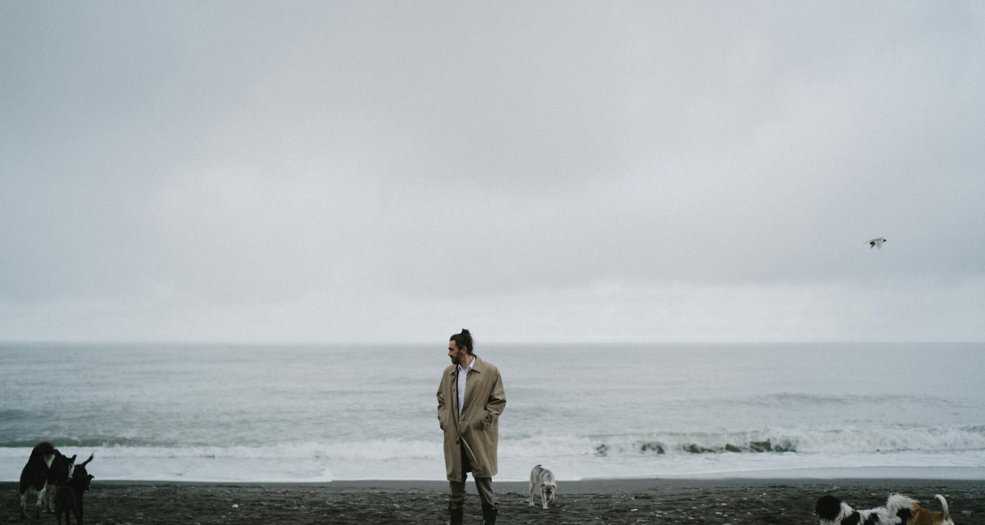 Psychology says the quiet withdrawal older adults show around new technology isn't disinterest — it's the same protective response humans use when they feel they've lost social standing