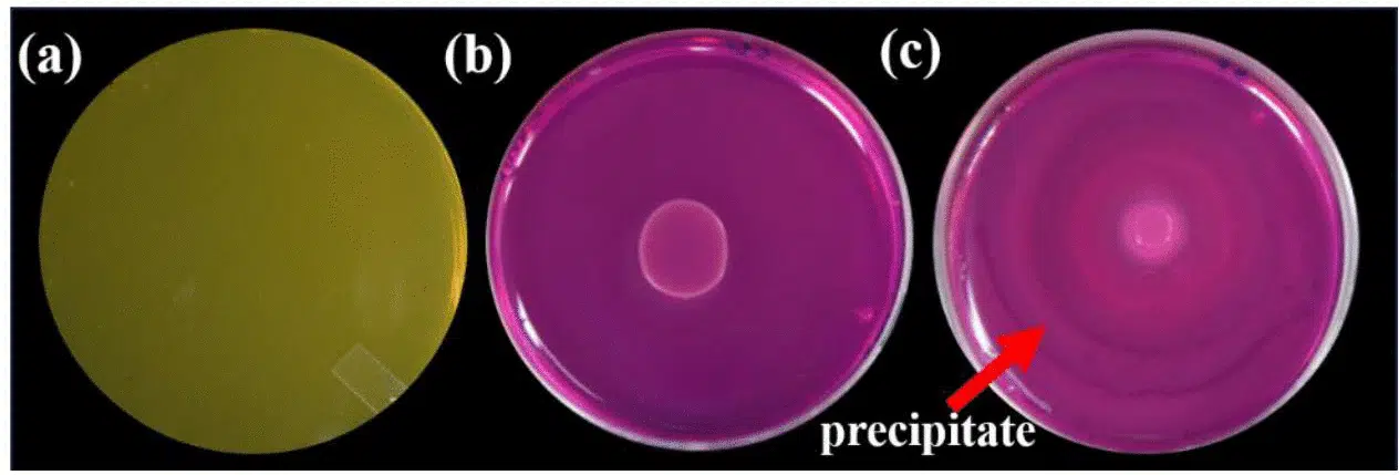 Journal.pone.0340252.g002