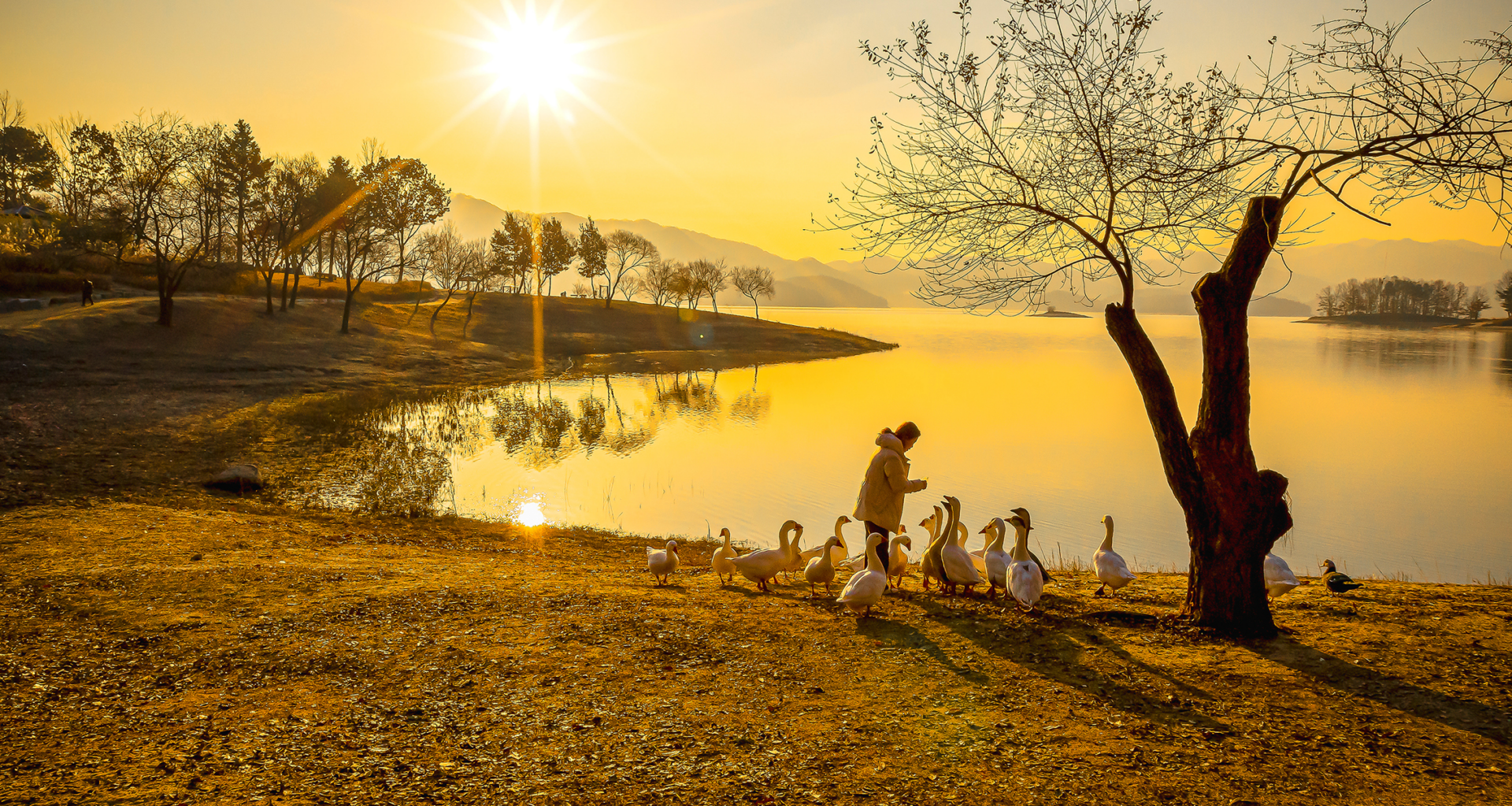 From life-saving teamwork to quiet acts of love: award-winning photos that celebrate kindness