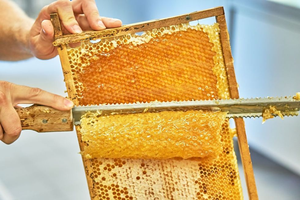 Manuka