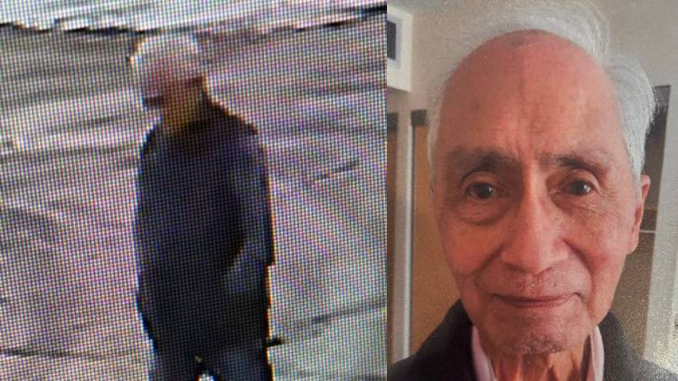 Toronto police are searching for 80-year-old Steven who went missing from the Sheppard Avenue and Birchmount Road area on Sunday. HANDOUT/Toronto Police Service