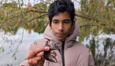 Mississauga teen’s incredible invasive species discovery sparks rapid response at Lake Aquitaine
