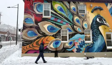More than murals: Paint It Up! builds youth skills and neighbourhood pride in Ottawa