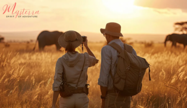 A boutique African safari experience from Toronto is now accepting applications!