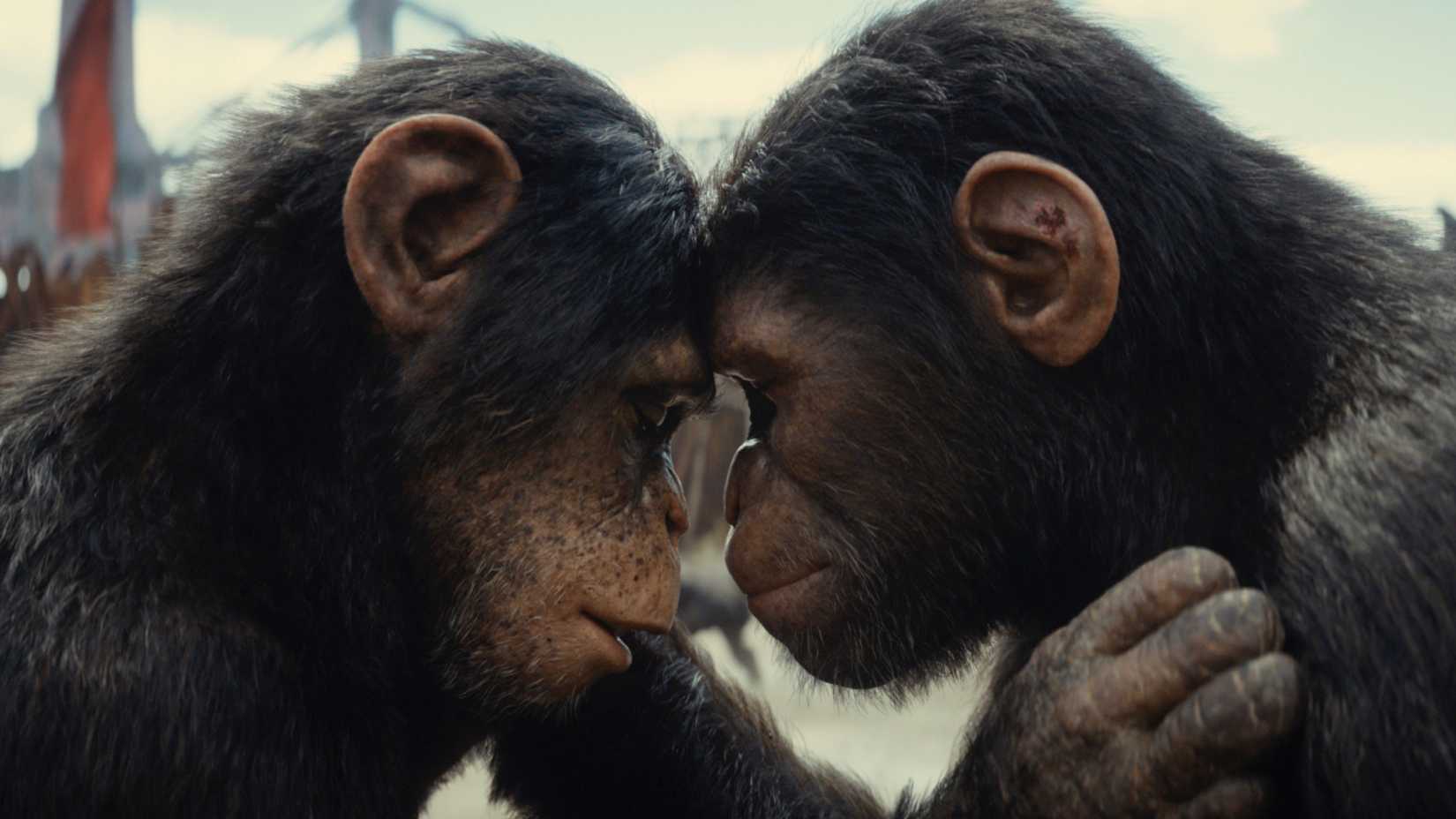 Noa and Soona in Kingdom of the Planet of the Apes