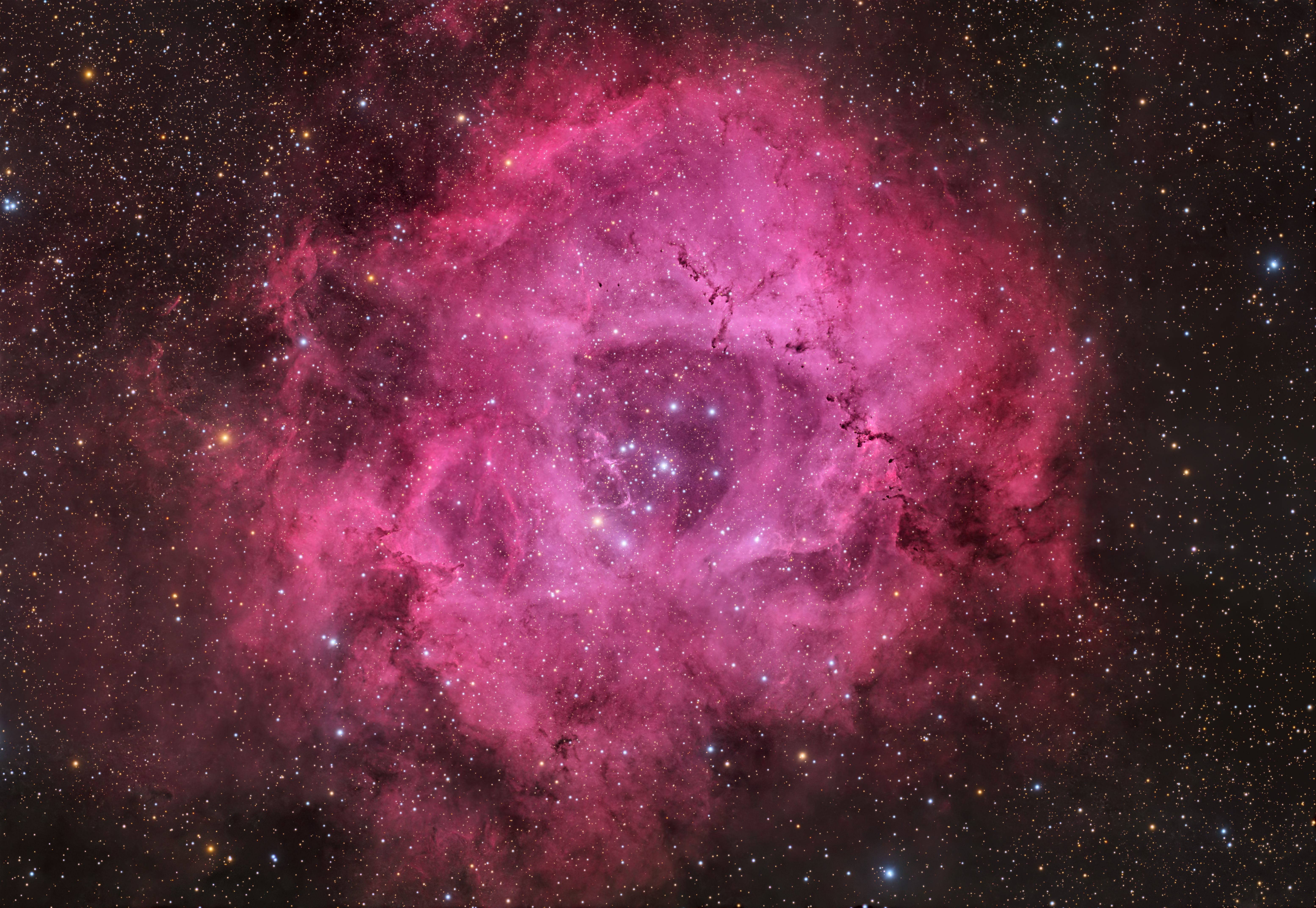 A pink rose-shaped nebula is shown glowing against a background of multicolored stars.