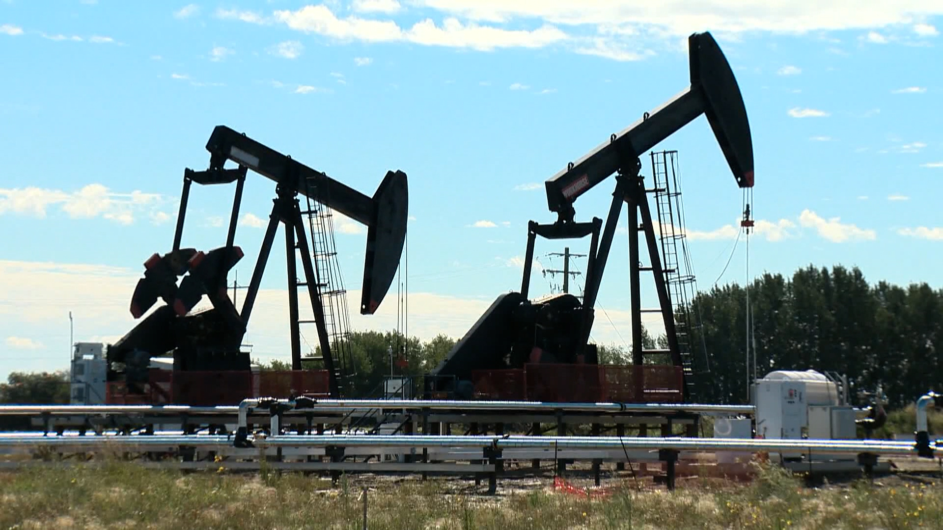 Click to play video: 'Falling oil prices and their impact on Alberta '