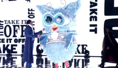 Owl is unmasked on Fox's "The Masked Singer."