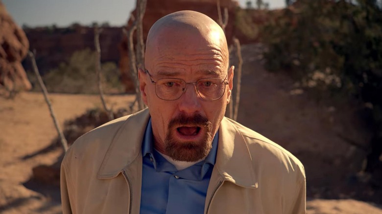 Walter White, kneeling in devastation on Breaking Bad.