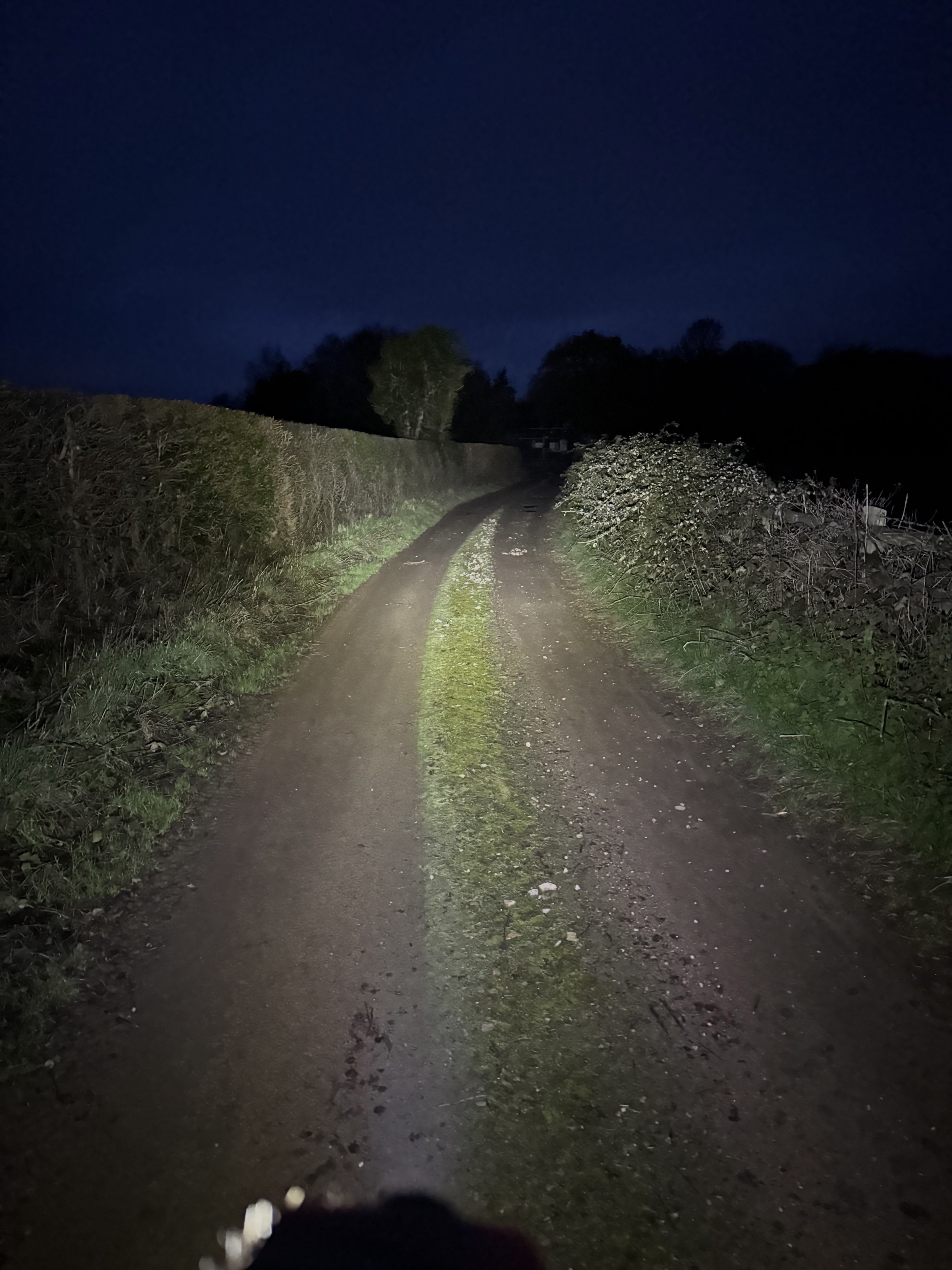 Exposure Lights Sirius 11