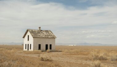 Ottawa Senators Prospect Update - February 24th, 2026