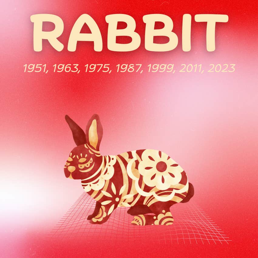 rabbit chinese zodiac signs luck success February 22 2026