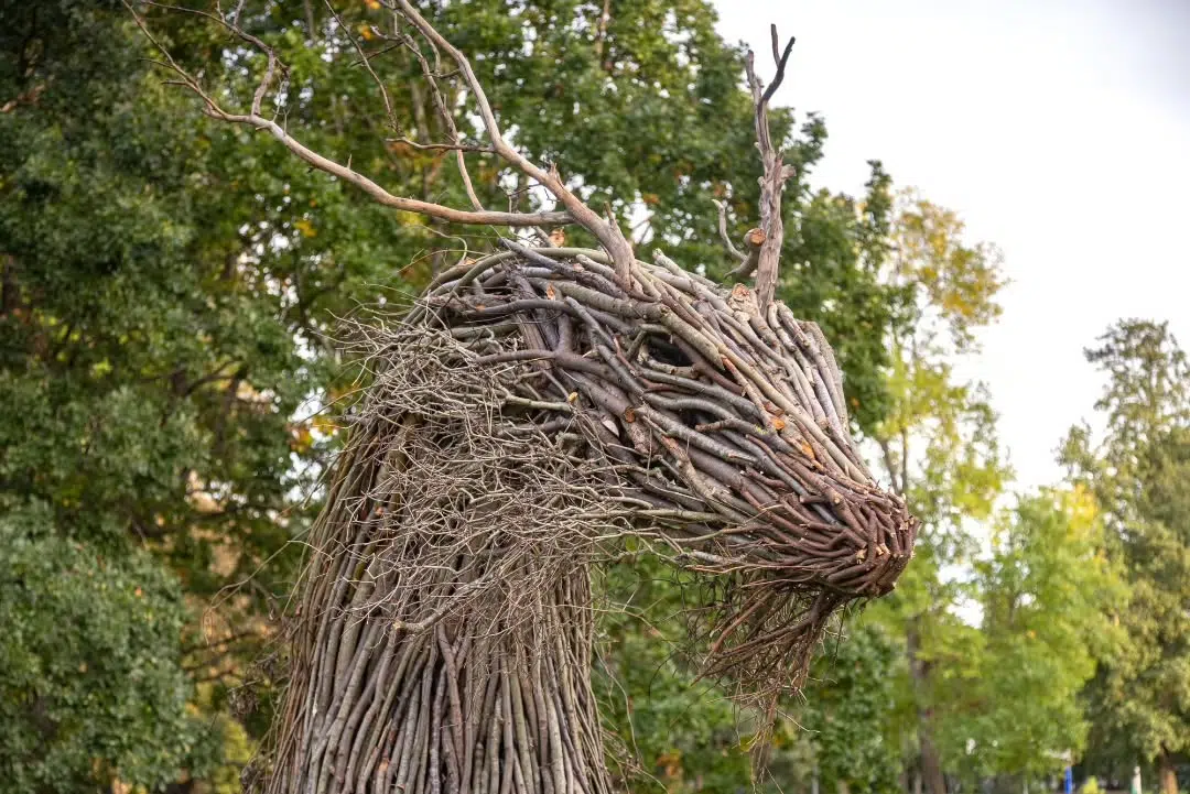 Wood and Twig Animal Sculptures by Rodolfo Liprandi