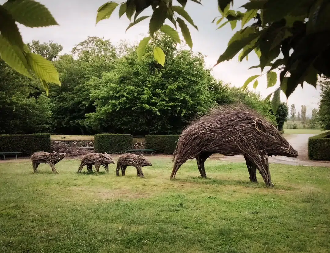 Wood and Twig Animal Sculptures by Rodolfo Liprandi