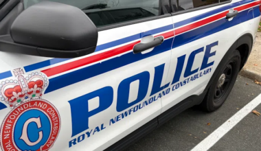 Luck Runs Out for Wanted Man at St. John's Bar