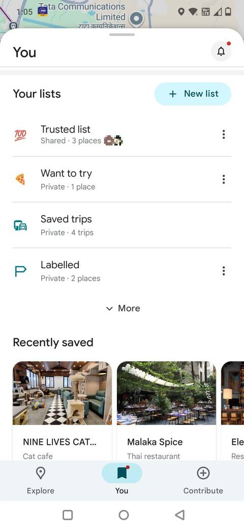 Screenshot showing lists in Google Maps