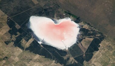 Satellite photo of a pink salt lake in the shape of a heart