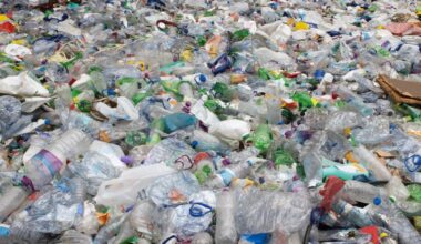 Chemists convert plastic waste into a powerful new tool to capture carbon dioxide