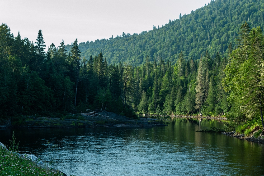 Ottawa Takes Action Against Aquatic Invaders
