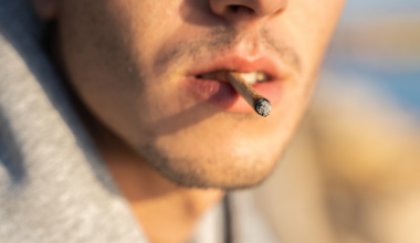 Shocking simulation reveals the impact of daily weed use on your body