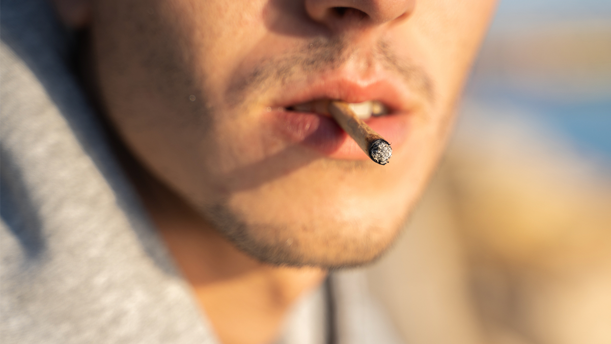 Shocking simulation reveals the impact of daily weed use on your body