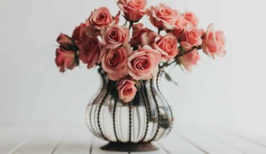 Only the Good Stuff: Multivitamins For Your Weekend {02.14.2026}