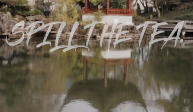 Spill the Tea: Gentrification of Vancouver Chinatown - School of Communication