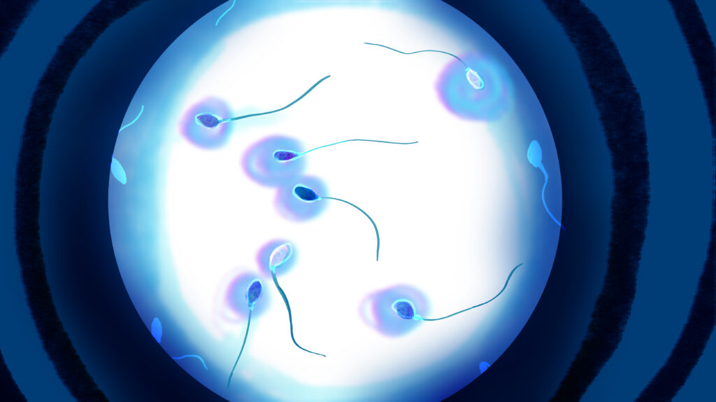 A 'guy-necologist'? Startups push semen analysis as male Pap smears